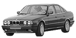 BMW E34 P0545 Fault Code